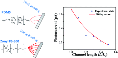 Graphical abstract: High-efficiency transfer of percolating nanowire films for stretchable and transparent photodetectors