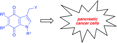 Graphical abstract: Antitumour indolequinones: synthesis and activity against human pancreatic cancer cells