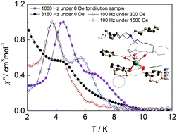 Graphical abstract: The slow magnetic relaxation regulated by ligand conformation of a lanthanide single-ion magnet [Hex4N][Dy(DBM)4]