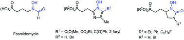 Graphical abstract: Fosmidomycin analogues with N-hydroxyimidazole and N-hydroxyimidazolone as a chelating unit
