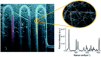Graphical abstract: Surface-enhanced Raman scattering (SERS) chips made from metal nanoparticle-doped polymer fibers