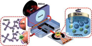 Graphical abstract: Chronopotentiometric synthesis of quantum dots with efficient surface-derived near-infrared electrochemiluminescence for ultrasensitive microchip-based ion-selective sensing