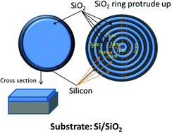 Graphical abstract: Fabrication of concentric microarrays for self-assembly and manipulation of particle distribution