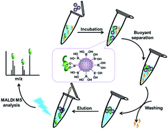 Graphical abstract: Mercaptophenylboronic acid modified gold nanoparticle@silica bubbles for buoyant separation and specific enrichment of glycopeptides