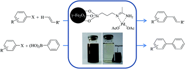 Graphical abstract: Acetamidine–palladium complex immobilized on γ-Fe2O3 nanoparticles: a novel magnetically separable catalyst for Heck and Suzuki coupling reactions