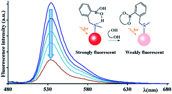 Graphical abstract: Facile synthesis of boronic acids on a BODIPY core with promising sensitivity towards polyols