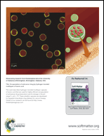 Graphical abstract: Back cover