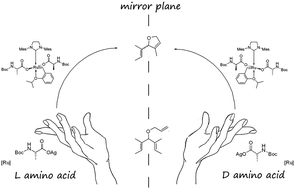 Graphical abstract: Amino acids as chiral anionic ligands for ruthenium based asymmetric olefin metathesis