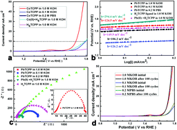 Graphical abstract: A lead–porphyrin metal–organic framework: gas adsorption properties and electrocatalytic activity for water oxidation