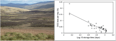 Graphical abstract: Investigations of freezing and cold storage for the analysis of peatland dissolved organic carbon (DOC) and absorbance properties