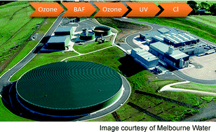Graphical abstract: Demonstrating organic contaminant removal in an ozone-based water reuse process at full scale