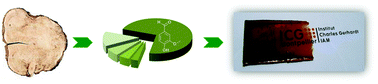 Graphical abstract: Epoxy thermosets from model mixtures of the lignin-to-vanillin process