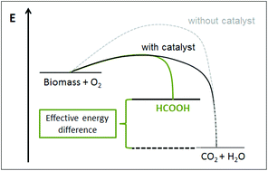 Graphical abstract: Expanding the scope of biogenic substrates for the selective production of formic acid from water-insoluble and wet waste biomass