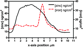 Graphical abstract: Understanding metal homeostasis in primary cultured neurons. Studies using single neuron subcellular and quantitative metallomics