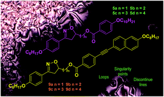 Graphical abstract: Implications of flexible spacer rotational processes on the liquid crystal behavior of 4,5-dihydroisoxazole benzoate dimers