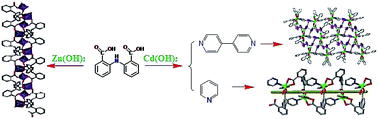 Graphical abstract: Solvothermal synthesis, structure, and fluorescence properties of three d10 polymers assembled from semi-rigid V-shaped aza-bridged multicarboxylate