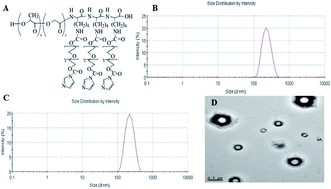 Graphical abstract: PEG–PLGA–PLL nanoparticles in combination with gambogic acid for reversing multidrug resistance of K562/A02 cells to daunorubicin
