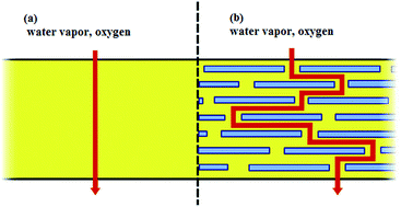 Graphical abstract: Formation and oxygen diffusion barrier properties of fish gelatin/natural sodium montmorillonite clay self-assembled multilayers onto the biopolyester surface