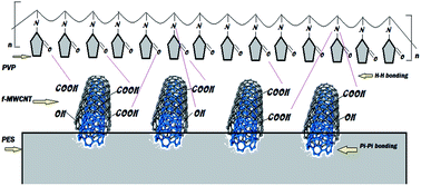 Graphical abstract: An acid functionalized MWCNT/PVP nanocomposite as a new additive for fabrication of an ultrafiltration membrane with improved anti-fouling resistance