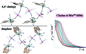 Graphical abstract: {CoIIIMnIII}n corrugated chains based on heteroleptic cyanido metalloligands