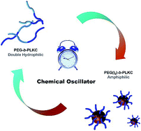 Graphical abstract: The fabrication of a supra-amphiphile for dissipative self-assembly