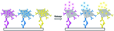 Graphical abstract: Improvement of enzyme-linked immunosorbent assay for the multicolor detection of biomarkers