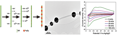 Graphical abstract: Fe3O4/carbon nanofibres with necklace architecture for enhanced electrochemical energy storage