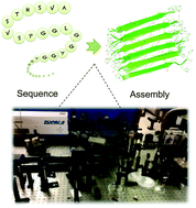 Graphical abstract: Ultrafast laser-probing spectroscopy for studying molecular structure of protein aggregates