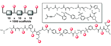 Graphical abstract: Towards vast libraries of scaffold-diverse, conformationally constrained oligomers