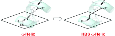 Graphical abstract: An optimal hydrogen-bond surrogate for α-helices