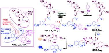 Graphical abstract: A novel anticancer theranostic pro-prodrug based on hypoxia and photo sequential control