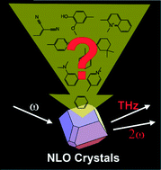 Graphical abstract: Recent progress in acentric core structures for highly efficient nonlinear optical crystals and their supramolecular interactions and terahertz applications