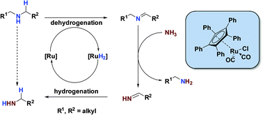 Graphical abstract: A ruthenium racemisation catalyst for the synthesis of primary amines from secondary amines