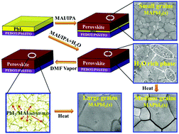 Graphical abstract: The synergistic effect of H2O and DMF towards stable and 20% efficiency inverted perovskite solar cells