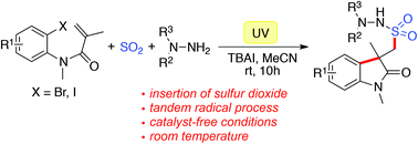 Graphical abstract: Generation of (2-oxoindolin-3-yl)methanesulfonohydrazides via a photo-induced reaction of N-(2-iodoaryl)acrylamide, DABSO, and hydrazine