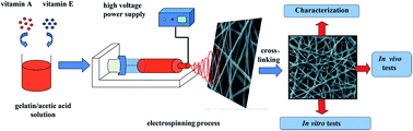 Graphical abstract: Electrospun gelatin nanofibers loaded with vitamins A and E as antibacterial wound dressing materials