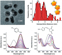 Graphical abstract: Cucurbit[7]uril-stabilized gold nanoparticles as catalysts of the nitro compound reduction reaction