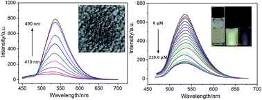 Graphical abstract: One-pot synthesis of sulfur-doped graphene quantum dots as a novel fluorescent probe for highly selective and sensitive detection of lead(ii)