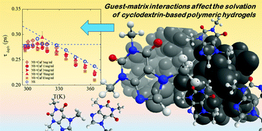 Graphical abstract: Guest–matrix interactions affect the solvation of cyclodextrin-based polymeric hydrogels: a UV Raman scattering study