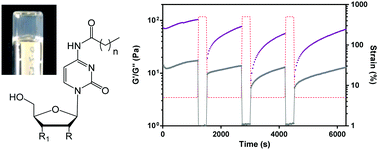Graphical abstract: Developing a self-healing supramolecular nucleoside hydrogel