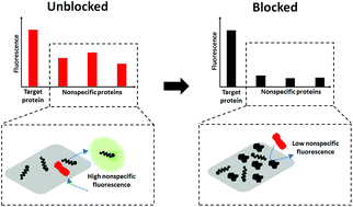 Graphical abstract: Enhancing the sensing specificity of a MoS2 nanosheet-based FRET aptasensor using a surface blocking strategy