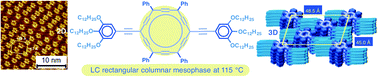 Graphical abstract: 3D and 2D supramolecular assemblies and thermotropic behaviour of a carbo-benzenic mesogen