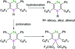 Graphical abstract: Synthesis and reactions of 4H-1,4-telluraborine