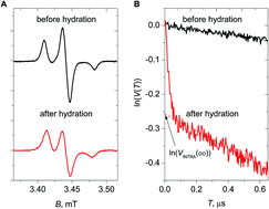 Graphical abstract: Alamethicin self-assembling in lipid membranes: concentration dependence from pulsed EPR of spin labels