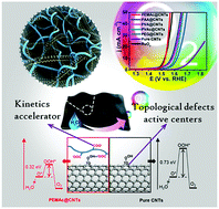 Graphical abstract: A general polymer-assisted strategy enables unexpected efficient metal-free oxygen-evolution catalysis on pure carbon nanotubes