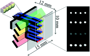 Graphical abstract: An ultra-small, multi-point, and multi-color photo-detection system with high sensitivity and high dynamic range