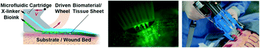 Graphical abstract: Handheld skin printer: in situ formation of planar biomaterials and tissues