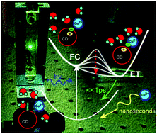 Graphical abstract: The interaction of photoexcited carbon nanodots with metal ions disclosed down to the femtosecond scale