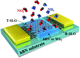 Graphical abstract: Gas molecule sensing of van der Waals tunnel field effect transistors