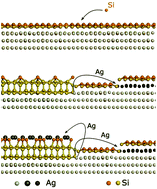 Graphical abstract: The mechanism for the stabilization and surfactant properties of epitaxial silicene